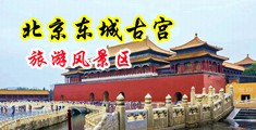 粉嫩小逼操逼视频中国北京-东城古宫旅游风景区